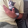 kitten, cat, hand, person, yellow_shirt, grey_couch, indoor, pet, cute, small, fur, animal, resting, young, domestic_cat, whiskers, tail, comfort, seated, human