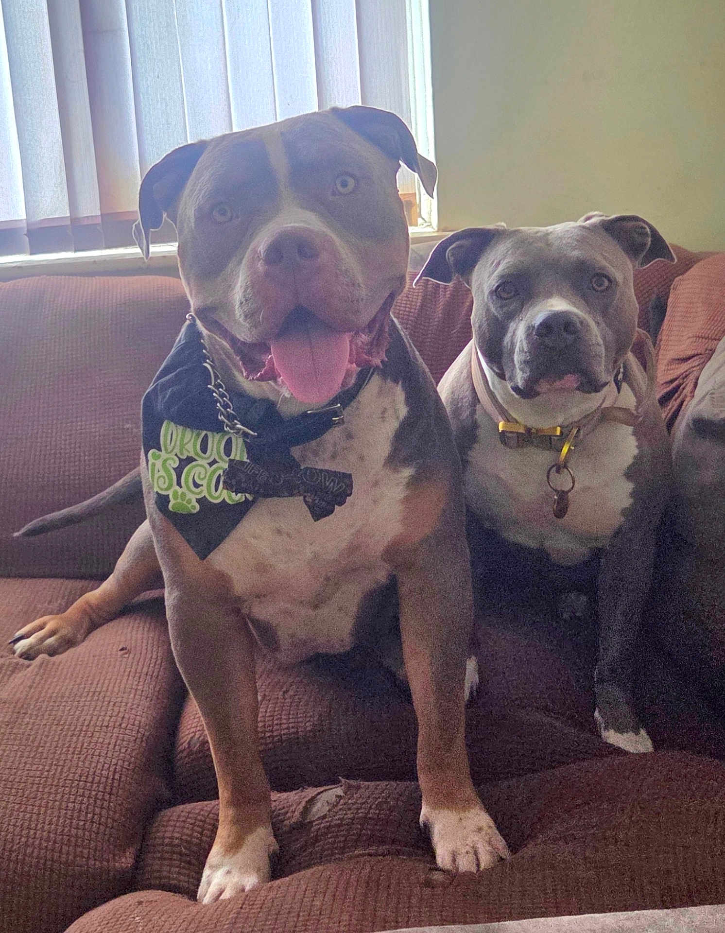 Zeus And Princess