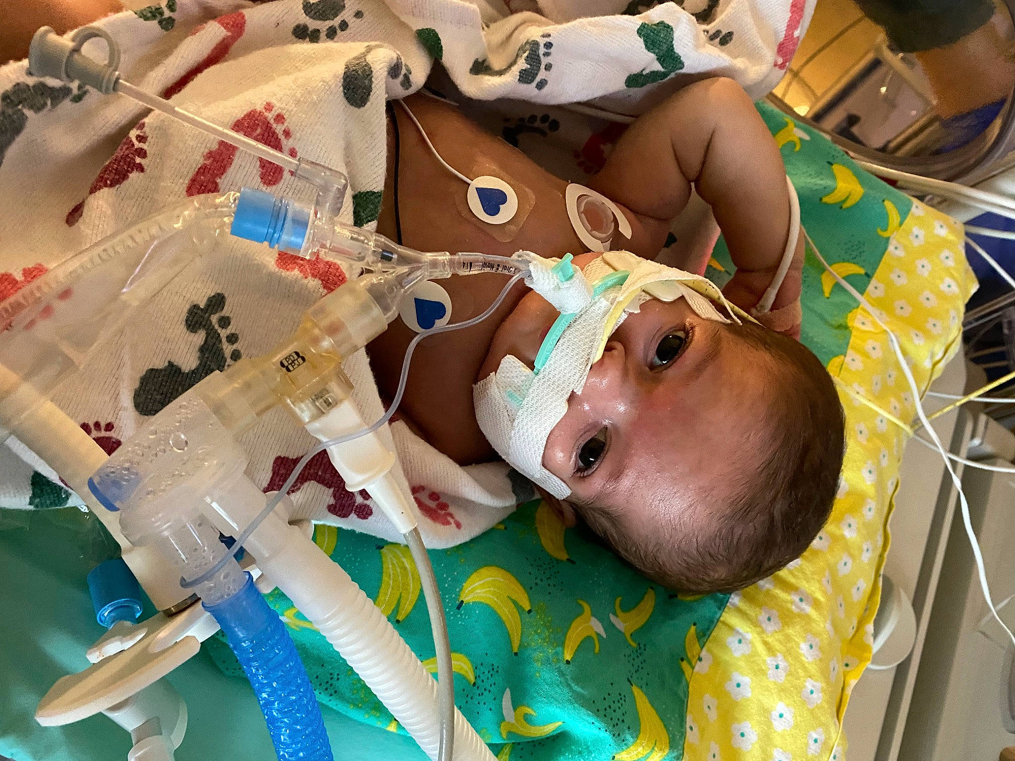 Cristian joined the competition — help win amazing prizes! art, baby, baby_products, chair, chest, child, event, fun, person, personal_protective_equipment, plastic, room, sunglasses, toddler, visual_arts