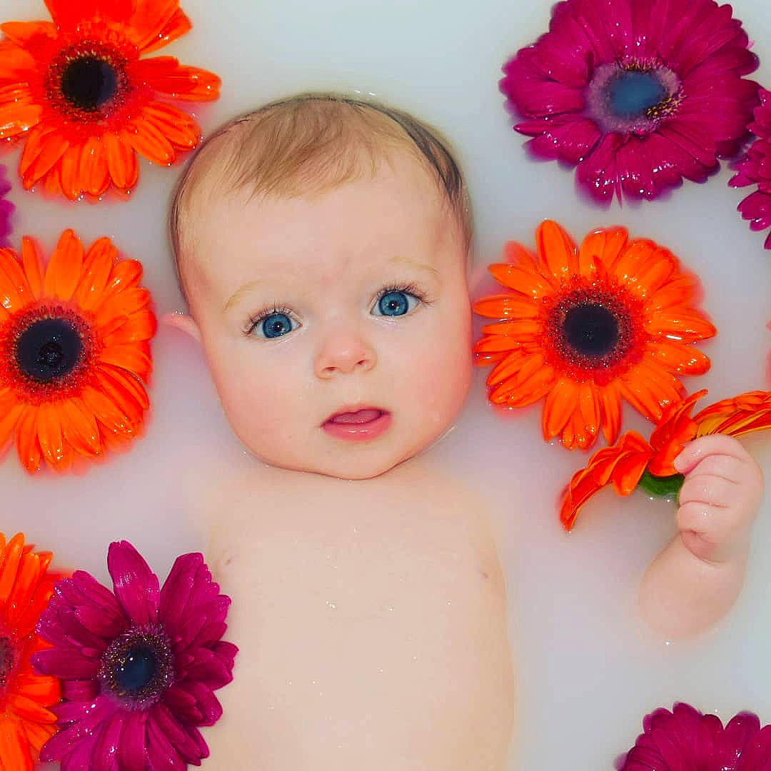 Roselyn is registered to the contest to win money with this photo: artificial_flower, baby, child, cut_flowers, eye, fashion_accessory, flower, gerbera, hair_accessory, head, headband, headgear, headpiece, orange, person, petal, pink, plant, sunflower, toddler