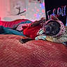 dog, pet, lying_down, red_sweater, knit_hat, blanket, bed, indoor, cozy, cute, tongue_out, relaxed, colorful_lights, star_lights, text_banner, soft_lighting, furniture, home, animal, portrait