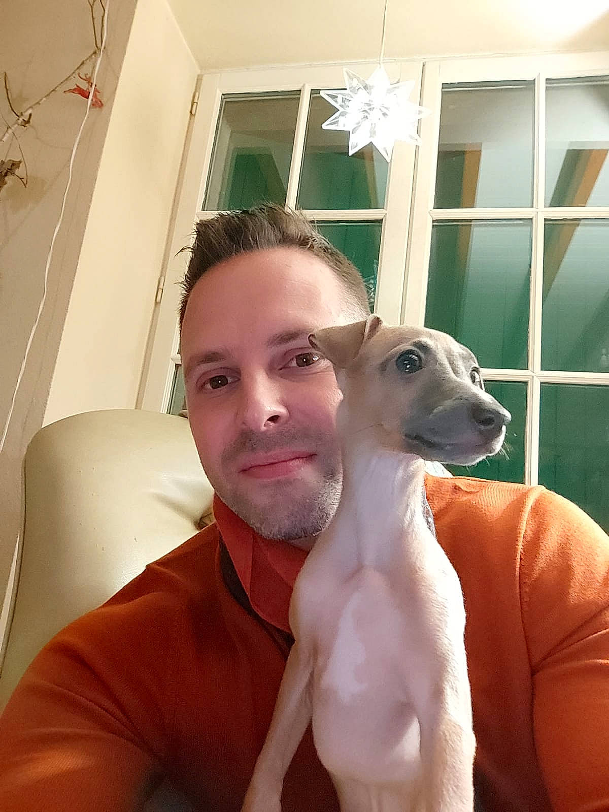 Cannelle a rejoint le concours — aidez-le/la à gagner de superbes lots ! carnivore, chest, comfort, companion_dog, dog, dog_breed, ear, fawn, formal_wear, happy, jaw, neck, shoulder, snout, tie, trunk, whiskers, white, window, working_animal