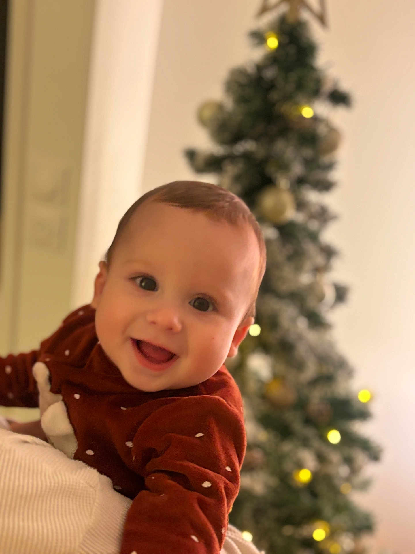 Eden a rejoint le concours — aidez-le/la à gagner de superbes lots ! baby, child, smiling, face, red_sweater, white_dots, christmas_tree, ornaments, lights, holiday, festive, indoors, portrait, happy, infant, cozy, blurred_background, warm, cute, person