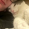 Milo is registered to the contest to win money with this photo: affection, animal, cat, close_up, cozy, cuddle, face, fur, gray_cat, human, indoor, intimate, nose, person, pet, relaxed, snuggling, soft, warm, white_cat