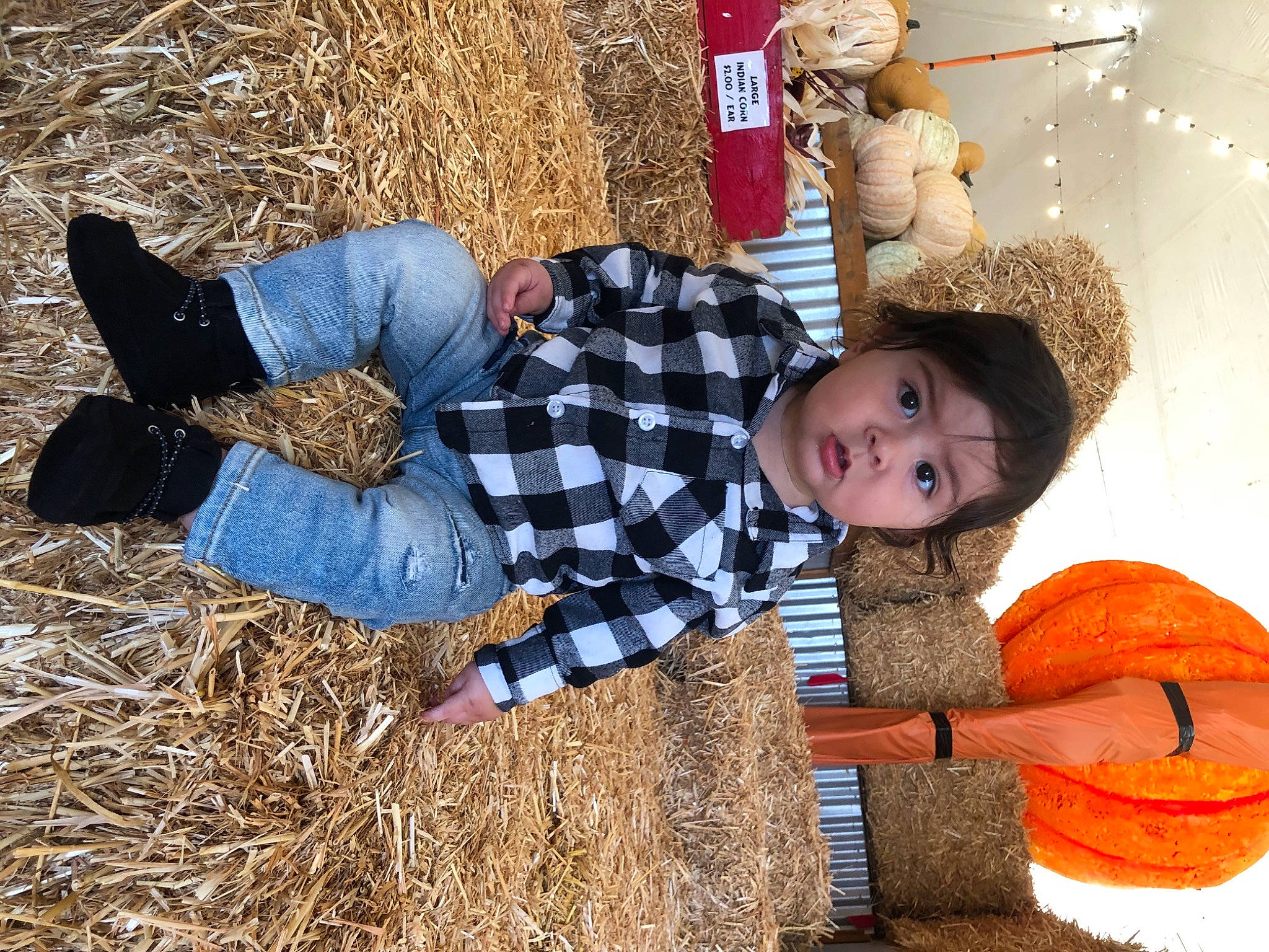 Braiden is registered to the contest to win money with this photo: agriculture, calabaza, child, cucurbita, fun, fur, gourd, grass, hat, hay, people_in_nature, person, pumpkin, soil, stuffed_toy, surprise, textile, toddler, vegetable, winter