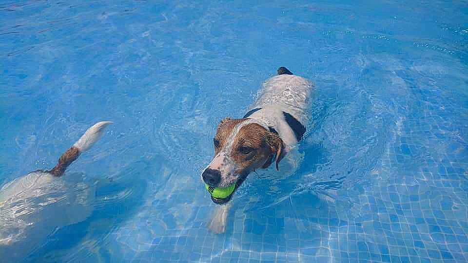 Maky participe au concours pour gagner de l'argent avec cette photo :