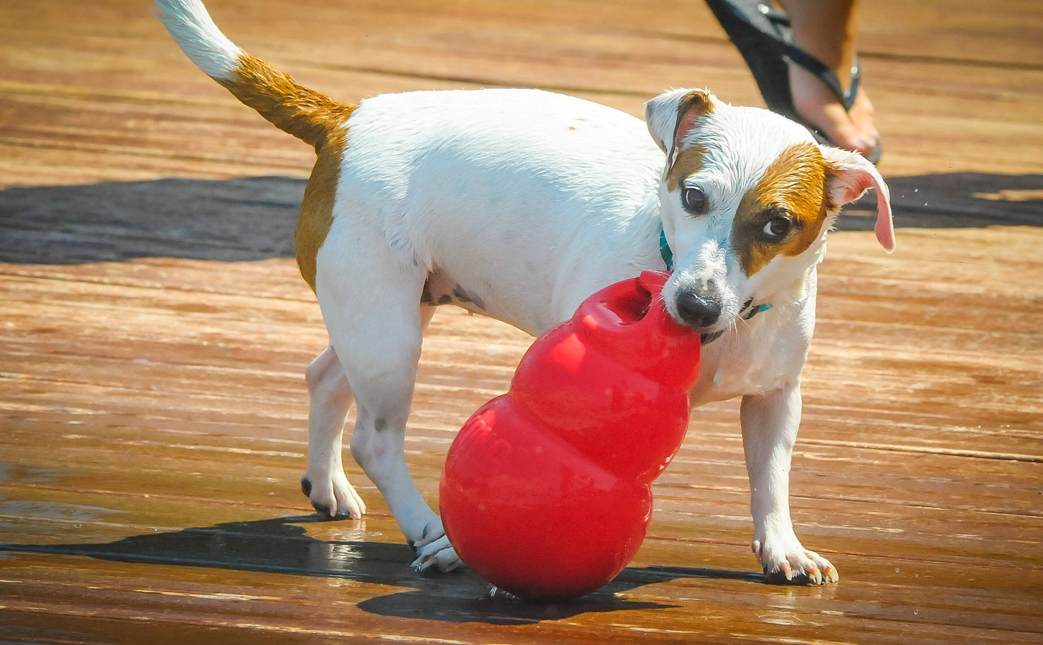 Jehna participe au concours pour gagner de l'argent avec cette photo :