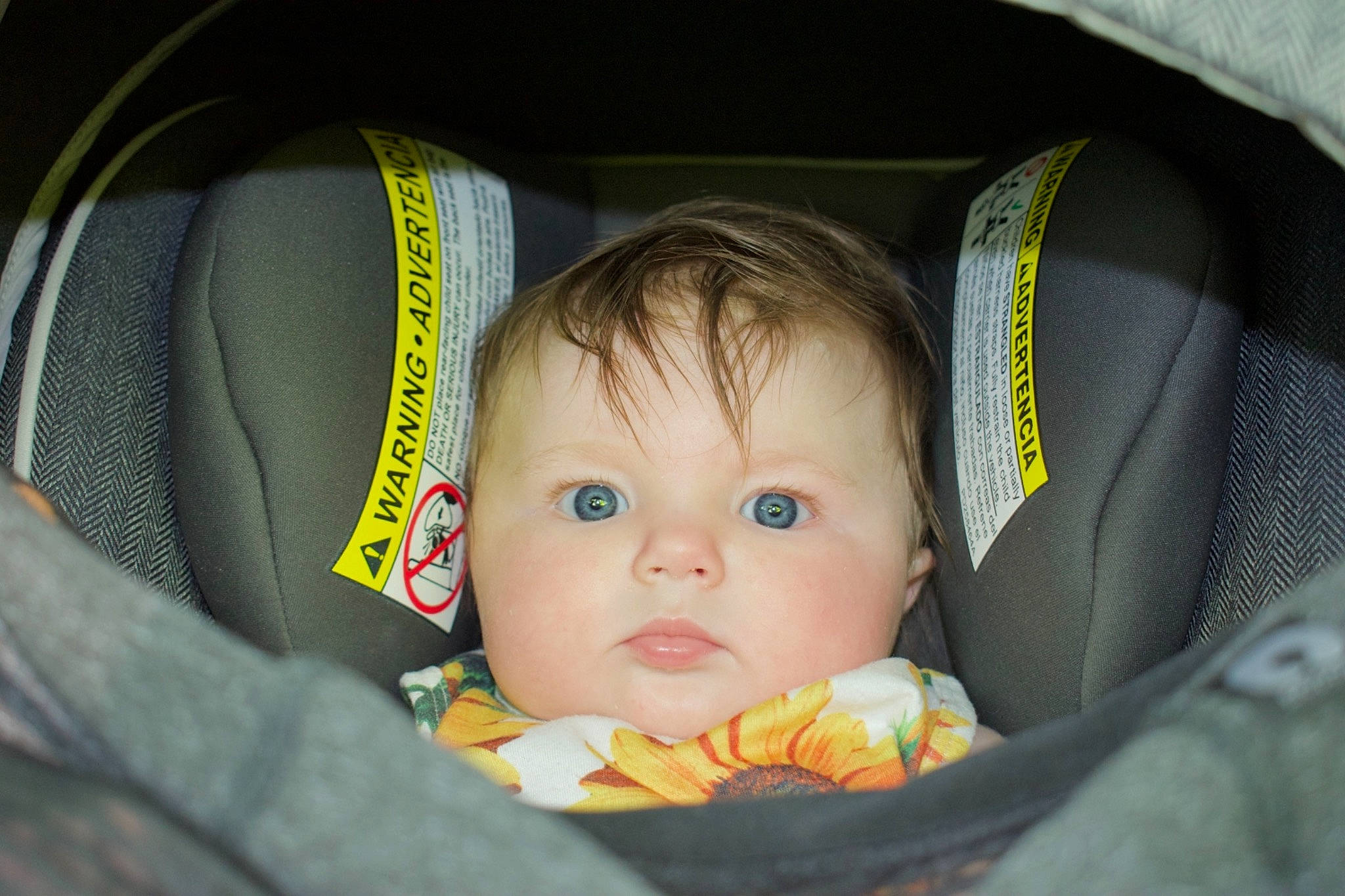 Olivia joined the competition — help win amazing prizes! auto_part, baby, baby_carriage, baby_in_car_seat, baby_products, baby_safety, baby_toddler_clothing, car_seat, car_seat_cover, cheek, child, comfort, happy, infant_bed, person, personal_luxury_car, product, sitting, sleep, toddler