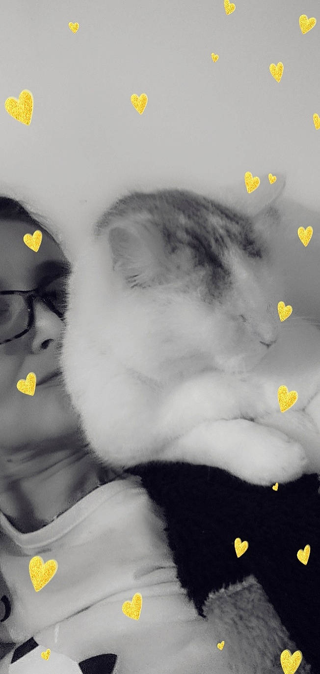 Park participe au concours pour gagner de l'argent avec cette photo : cap, darkness, eye, eyewear, fashion_accessory, felidae, font, fur, gesture, hat, jaw, monochrome, monochrome_photography, neck, organism, paw, personal_protective_equipment, snout, tail, whiskers