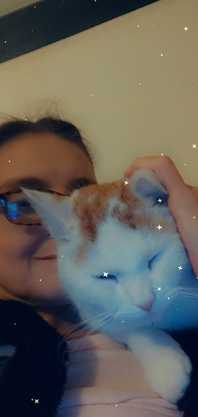 Park participe au concours pour gagner de l'argent avec cette photo : carnivore, cat, chest, cool, ear, eyebrow, eyelash, eyewear, felidae, fun, gesture, happy, jaw, mouth, neck, nose, selfie, trunk, vision_care, whiskers