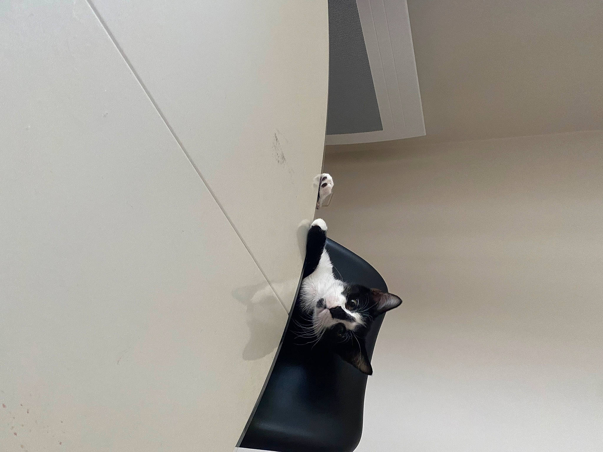 Oréo participe au concours pour gagner de l'argent avec cette photo : art, automotive_design, ceiling, chair, door, eyewear, fashion_accessory, flooring, font, light_fixture, metal, monochrome_photography, musical_instrument, paper, sculpture, shadow, still_life_photography, tints_and_shades, visual_arts, wood