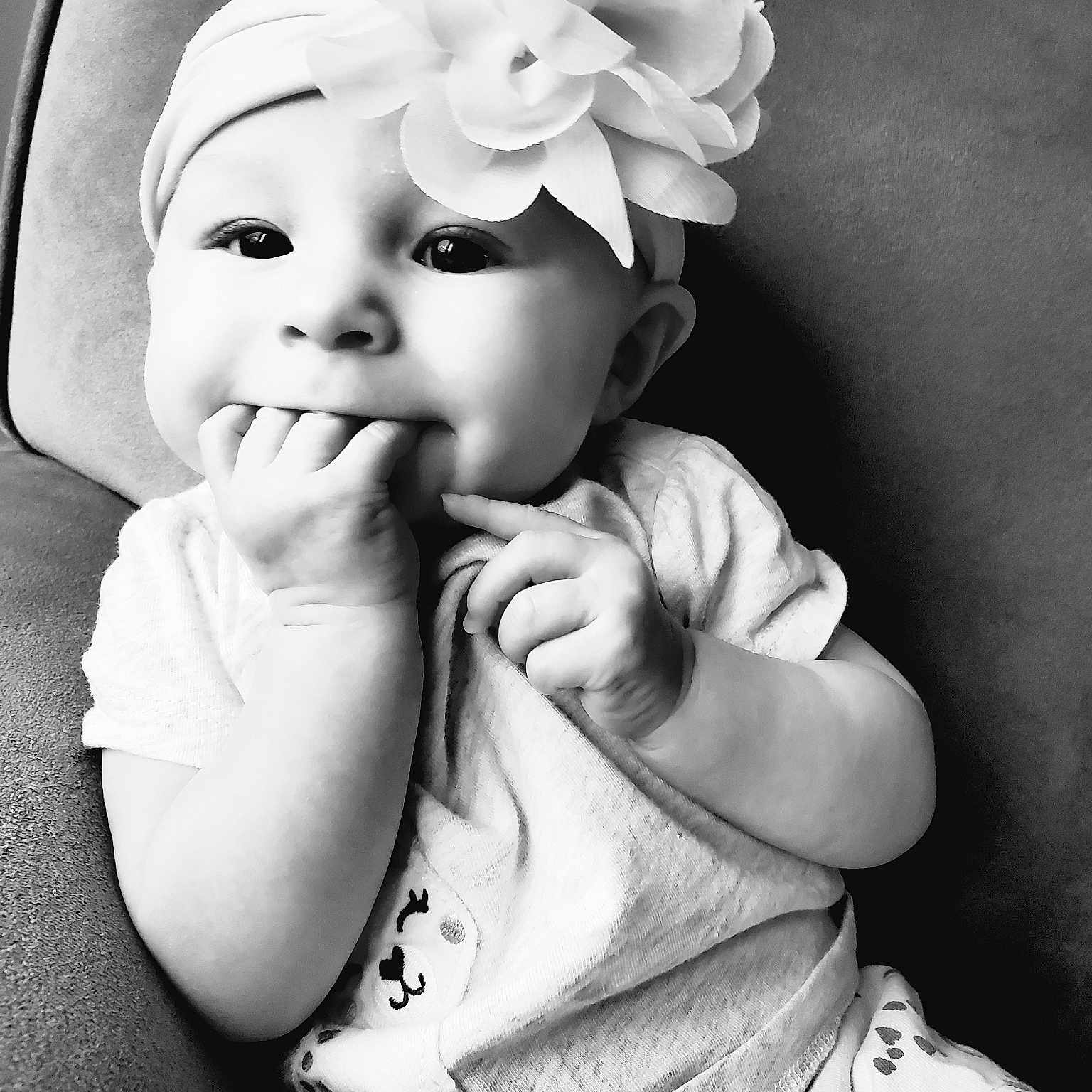 Annaliese joined the competition — help win amazing prizes! baby, black_and_white, child, hair_accessory, headgear, monochrome_photography, photograph, photography, smile, stock_photography, style, toddler