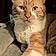 Chester