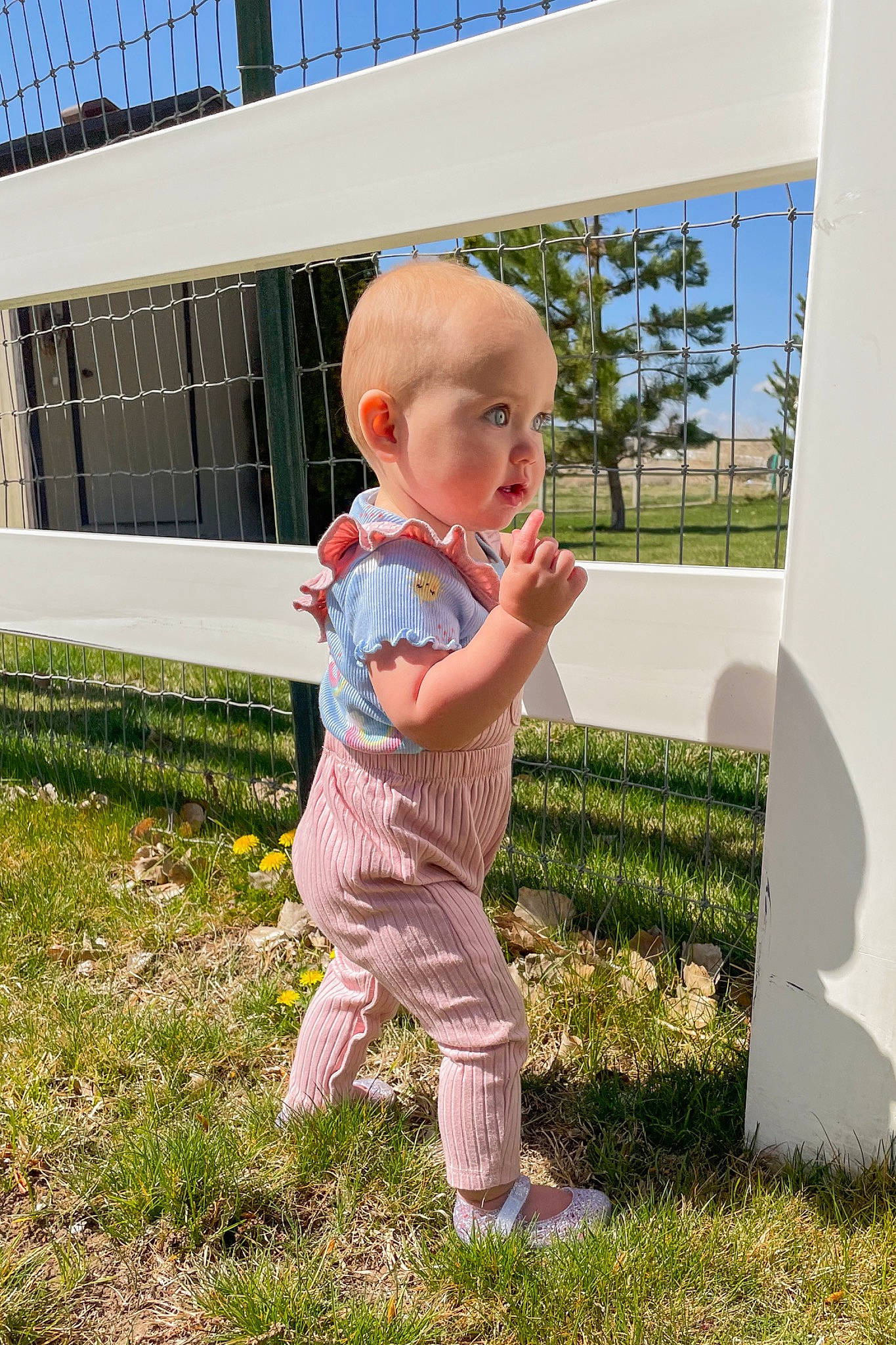 Madison joined the competition — help win amazing prizes! baby, baby_toddler_clothing, child, eye, flooring, fun, grass, grass_family, happy, lawn, leaf, leisure, people_in_nature, person, plant, sky, standing, summer, toddler, tree