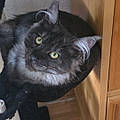 Sebastien P.