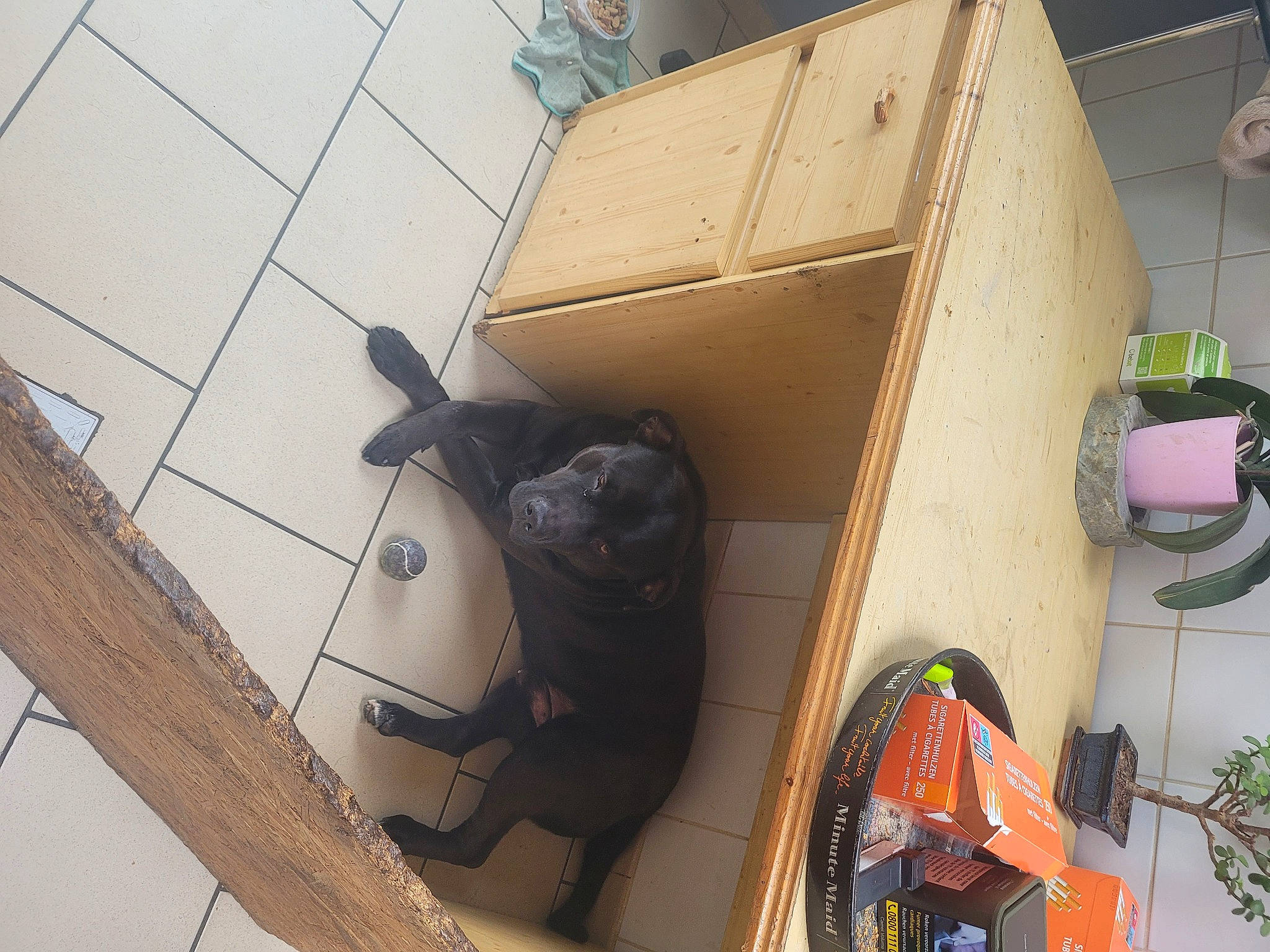 Pako participe au concours pour gagner de l'argent avec cette photo : bag, baggage, box, cabinetry, carton, chair, electrical_supply, electrical_wiring, floor, flooring, gas, hardwood, luggage_and_bags, machine, plywood, room, sculpture, shipping_box, wood