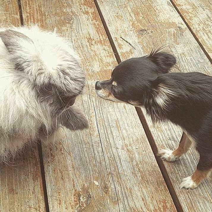 Zoey is registered to the contest to win money with this photo: