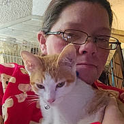 Donald J is registered to the contest to win money with this photo: person, cat, glasses, red_sweater, teddy_bear_print, indoor, pet, orange_cat, white_cat, bell_collar, face, holding, cozy, furniture, home, wall, closeup, adult, animal, eyewear
