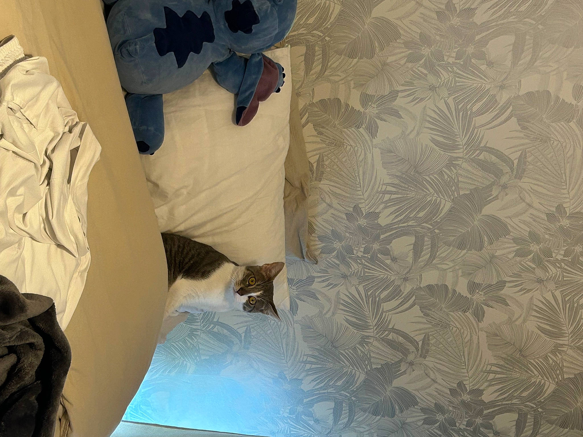 Moa participe au concours pour gagner de l'argent avec cette photo : art, bed_sheet, bedding, ceiling, floor, flooring, grey, hardwood, interior_design, linens, paper, pattern, plaster, room, textile, tints_and_shades, visual_arts, wall, wood, world