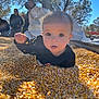 baby, child, corn, corn_kernels, outdoor, daylight, people, trees, sky, sunlight, black_clothing, curious, hand, grain, nature, group, adults, portrait, young_child, casual