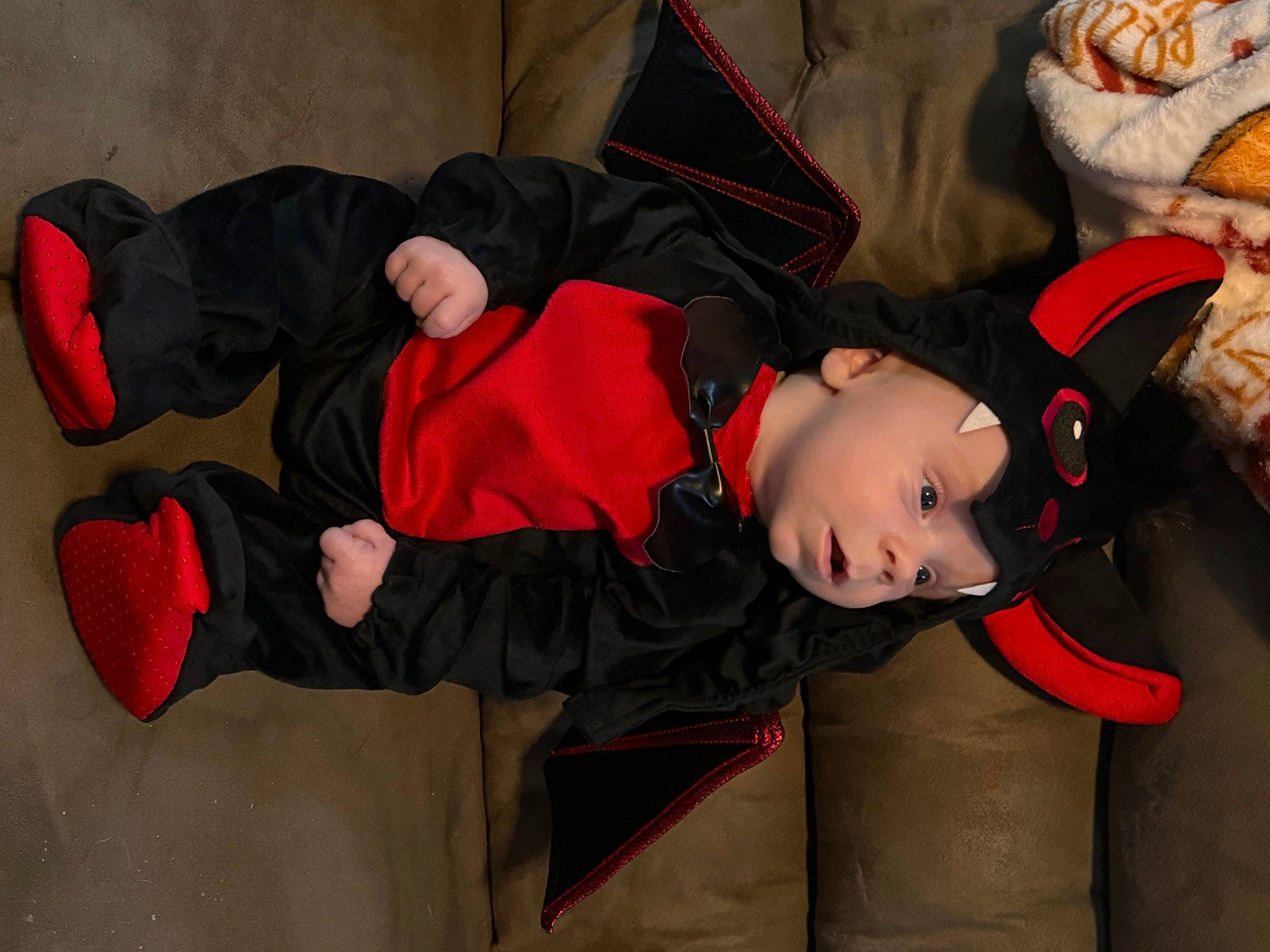 Chance joined the competition — help win amazing prizes! carmine, comfort, costume, costume_hat, event, fictional_character, fun, headwear, person, personal_protective_equipment, sleeve, tree