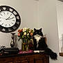 Percy a rejoint le concours — aidez-le/la à gagner de superbes lots ! black_and_white_cat, cat, clock, clock_face, coat, decor, domestic, feline, flower_vase, flowers, household_items, indoor, pet, plant, relaxing, sitting, still_life, table, whiskers, wooden_furniture