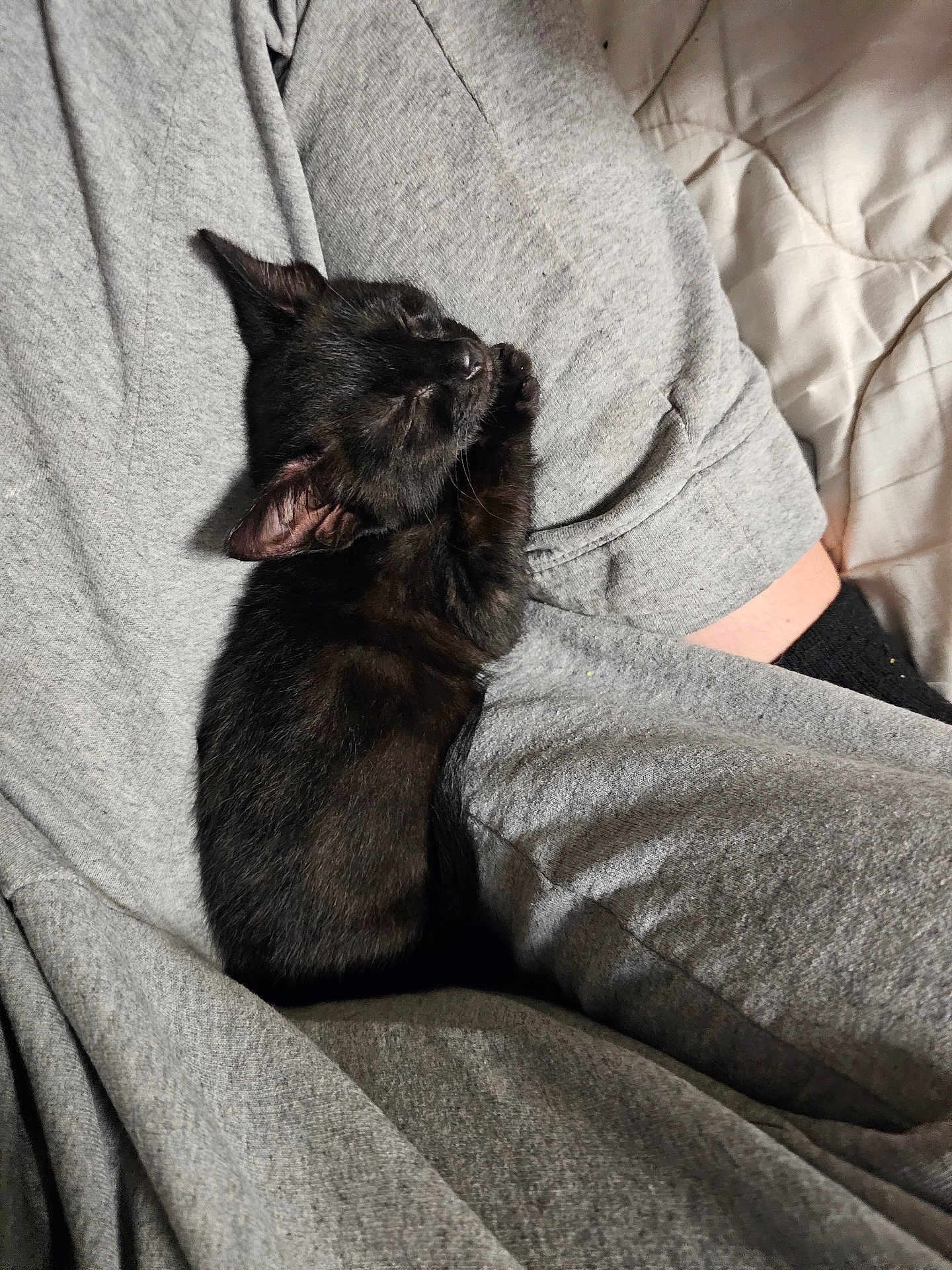Tater Tot