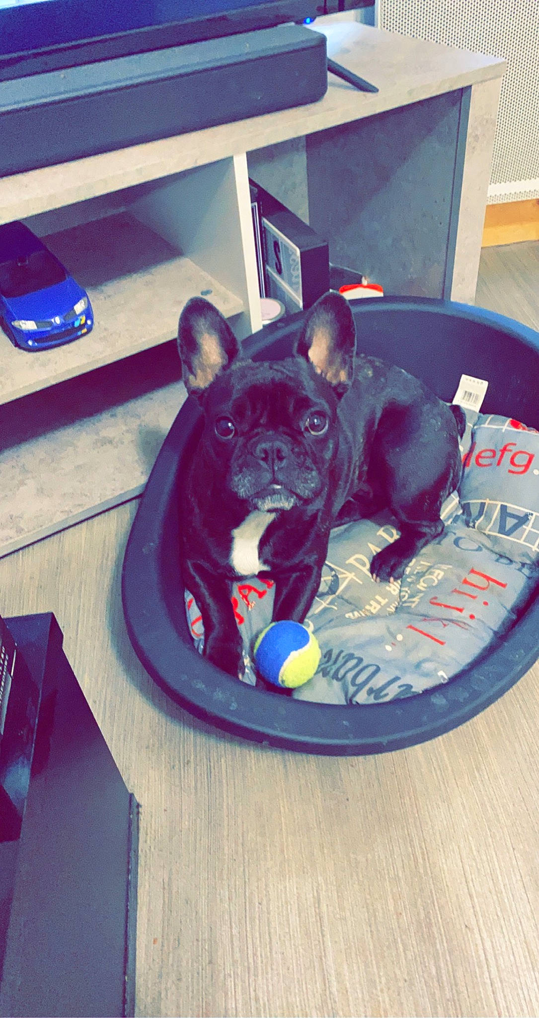 Nala