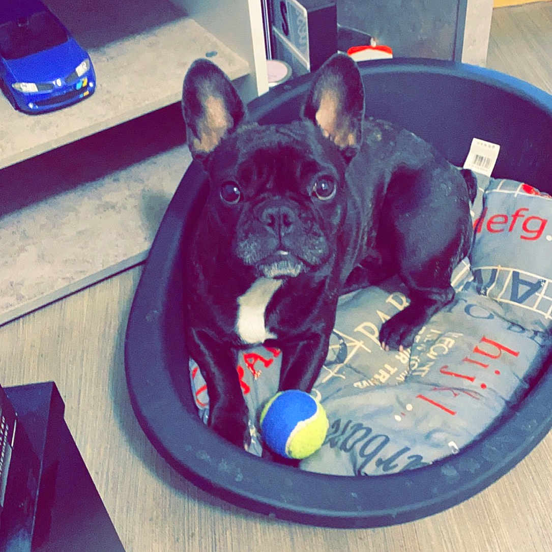 Nala