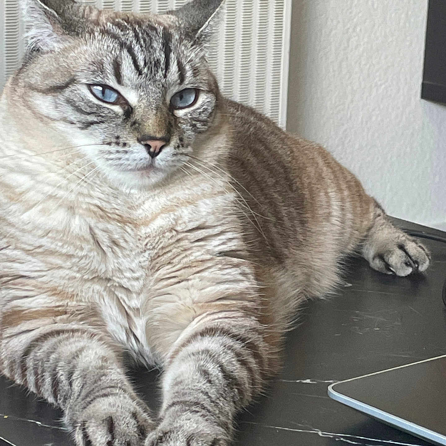 Sissi