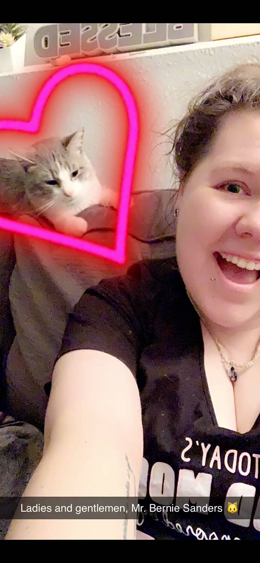 Bernie Sanders joined the competition — help win amazing prizes! carnivore, cat, ear, felidae, kitten, nose, person, photo_caption, photography, selfie, small_to_medium_sized_cats, smile, whiskers