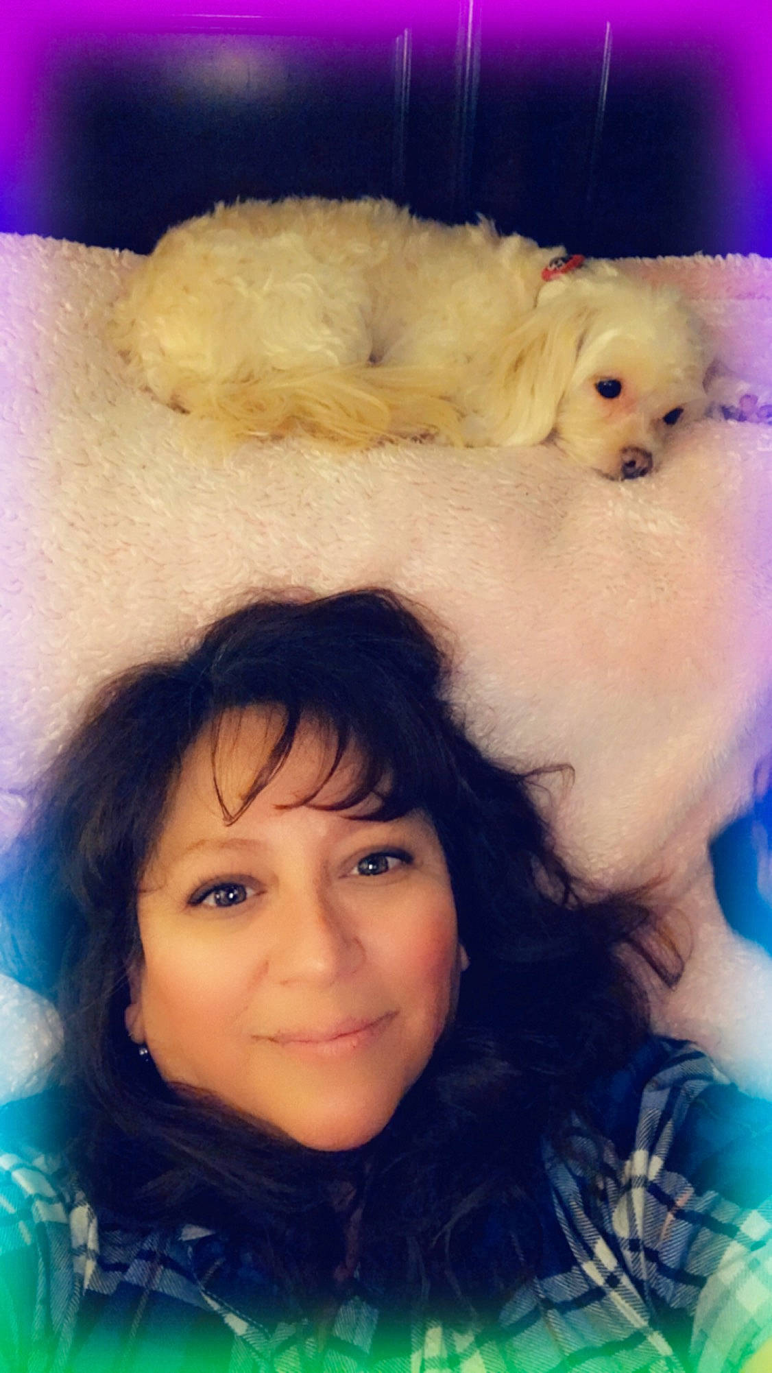 Giulia joined the competition — help win amazing prizes! bichon, bolognese, bolonka, canidae, carnivore, cavachon, companion_dog, dog, dog_breed, maltepoo, maltese, nose, pomeranian, poodle_crossbreed, puppy, puppy_love, schnoodle, skin, toy_dog, toy_poodle