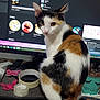 cat, calico_cat, computer_monitor, music_playlist, desk, craft_tape, butterfly_decorations, hot_glue_gun, clutter, workspace, curious_cat, pet, animal, indoor, technology, screen, orange_black_white, domestic_cat, looking_back, feline