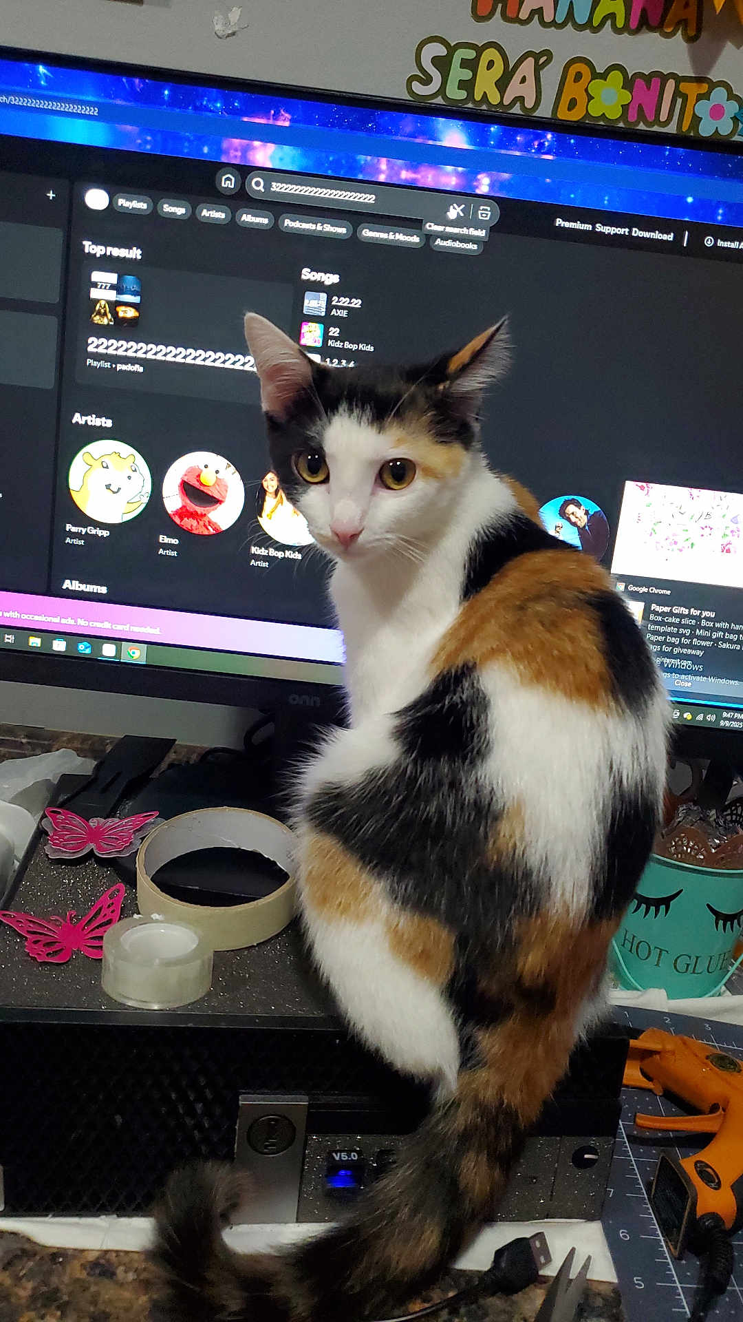 Clementine is registered to the contest to win money with this photo: cat, calico_cat, computer_monitor, music_playlist, desk, craft_tape, butterfly_decorations, hot_glue_gun, clutter, workspace, curious_cat, pet, animal, indoor, technology, screen, orange_black_white, domestic_cat, looking_back, feline