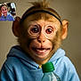 child, monkey_face, face_morph, blue_hoodie, bottle, green_cap, smile, portrait, indoors, headband, funny, digital_art, humor, closeup, person, expression, young, casual_clothing, light_background, photography