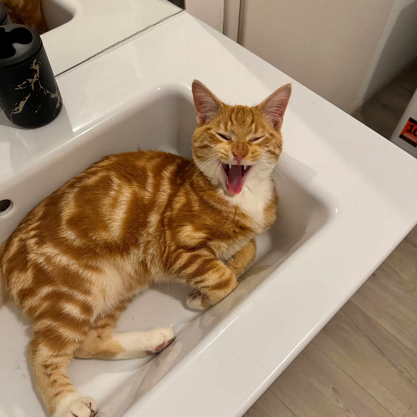 Winnie