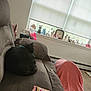 cat, black_cat, couch, blanket, window, figurines, clock, chips, snack, indoor, living_room, decor, carpet, relaxing, pet, napping, soft_furniture, daylight, home, cozy