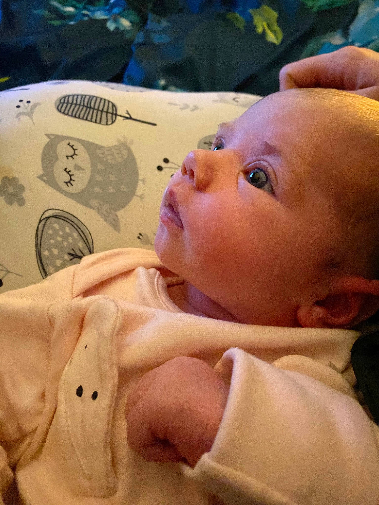 Aura is registered to the contest to win money with this photo: abdomen, baby, baby_products, baby_toddler_clothing, cheek, chest, child, comfort, eyelash, finger, hand, human_body, linens, nail, nose, person, room, skin, textile, thumb