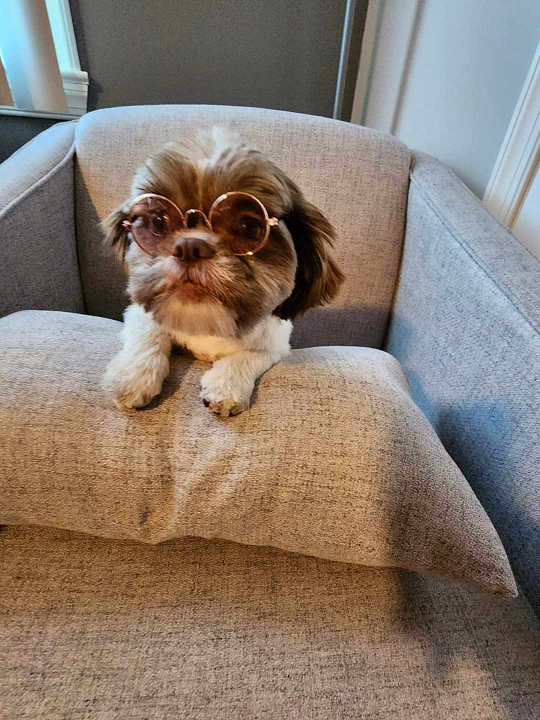 Andi