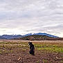 dog, black_and_white, field, mountains, cloudy_sky, grass, nature, outdoor, alone, looking_back, rural, earth, scenery, pet, animal, quiet, landscape, canine, ground, peaceful