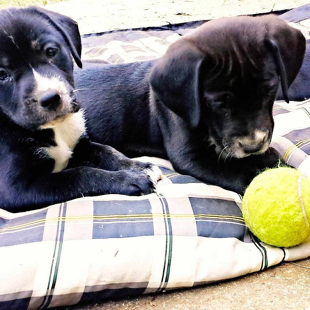 Dori May is registered to the contest to win money with this photo: