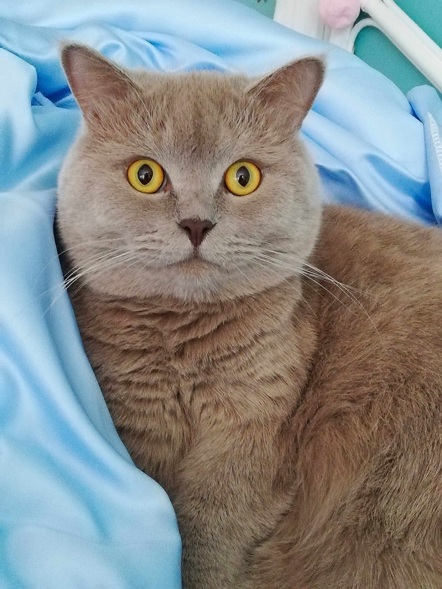 Onyx