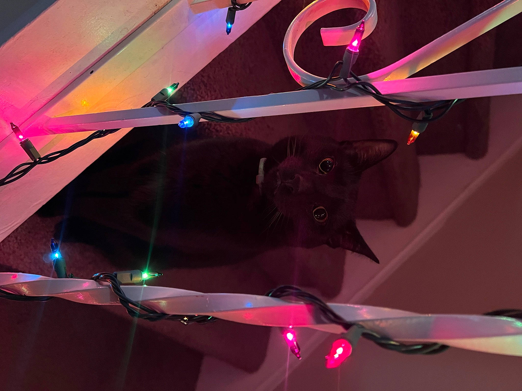 Dr. Evil joined the competition — help win amazing prizes! ceiling, design, electric_blue, entertainment, event, fun, hood, light, line, magenta, neon, pink, purple, red, space, technology, tints_and_shades, triangle, violet, visual_effect_lighting