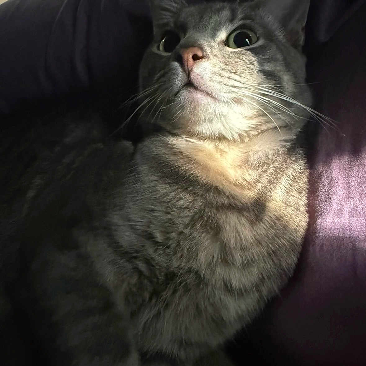 Tom