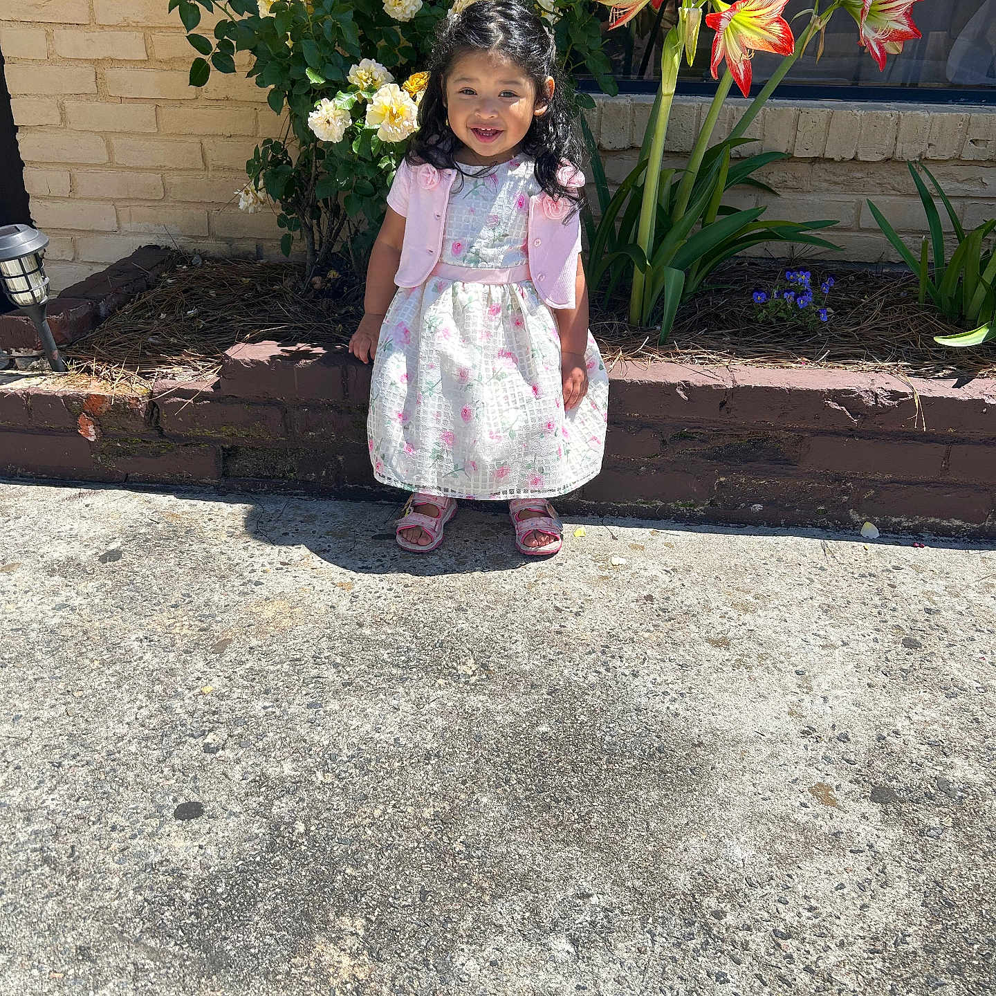 Rocio is registered to the contest to win money with this photo: brick_wall, child, concrete, daytime, dress, flowerbed, girl, green_leaves, happy, nature, outdoor, plants, portrait, red_flowers, sandals, smiling, standing, sunlight, toddler, yellow_flowers