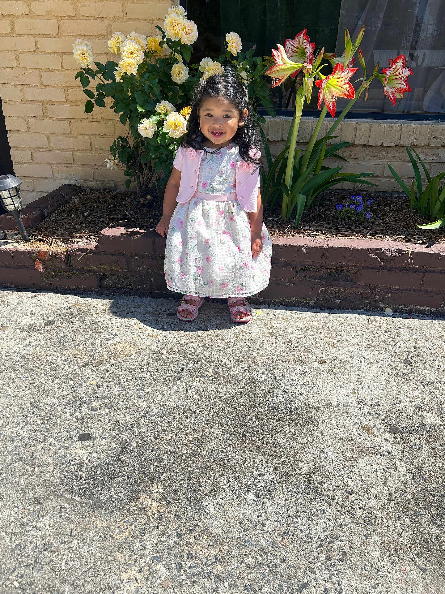 Rocio is registered to the contest to win money with this photo: child, toddler, girl, smiling, flowerbed, yellow_flowers, red_flowers, dress, sandals, outdoor, sunlight, plants, green_leaves, brick_wall, concrete, happy, standing, nature, daytime, portrait