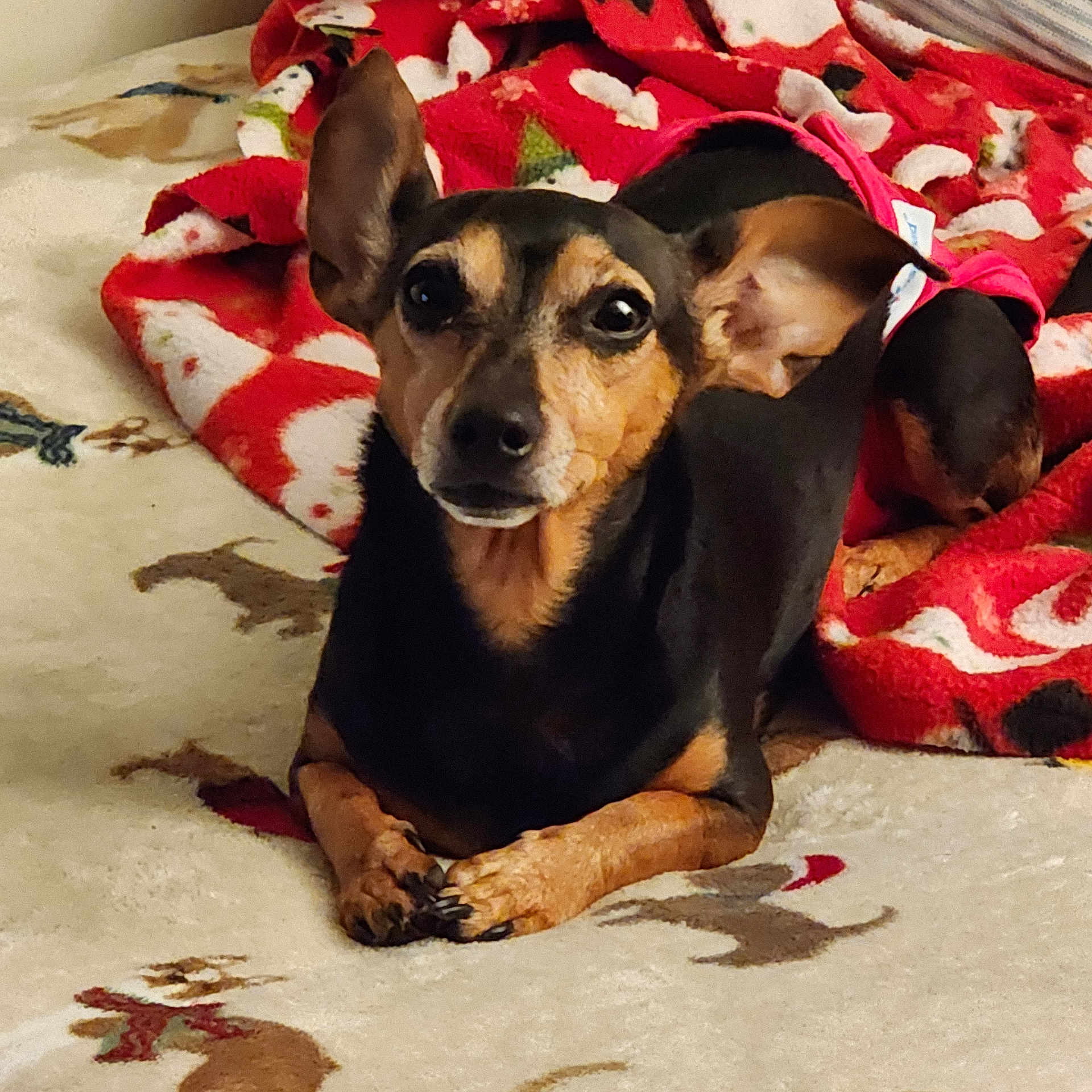 Minnie