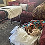 dog, plush_toy, blanket, pillow, sofa, carpet, living_room, cushion, window, table, decor, indoor, pet, resting, cozy, brown_dog, white_markings, tie_dye, stuffed_animal, home_interior