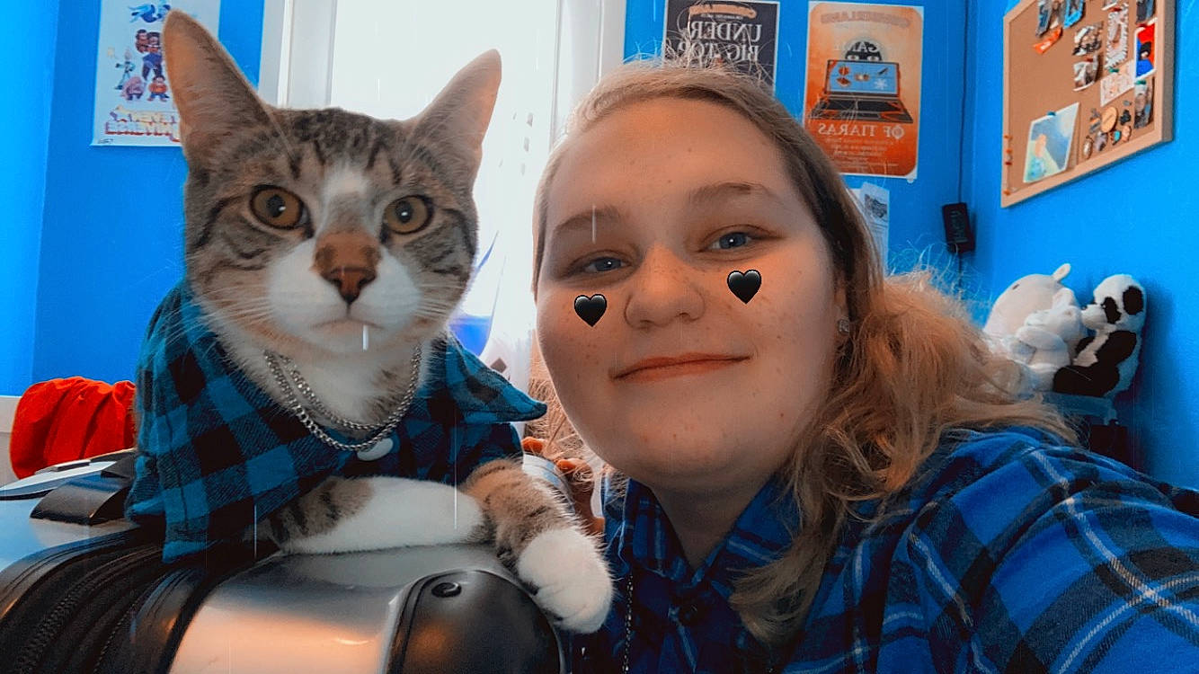 Chai is registered to the contest to win money with this photo: blue, carnivore, cat, child, eye, felidae, fun, gesture, happy, head, iris, nose, picture_frame, plaid, small_to_medium_sized_cats, smile, tartan, textile, tree, whiskers