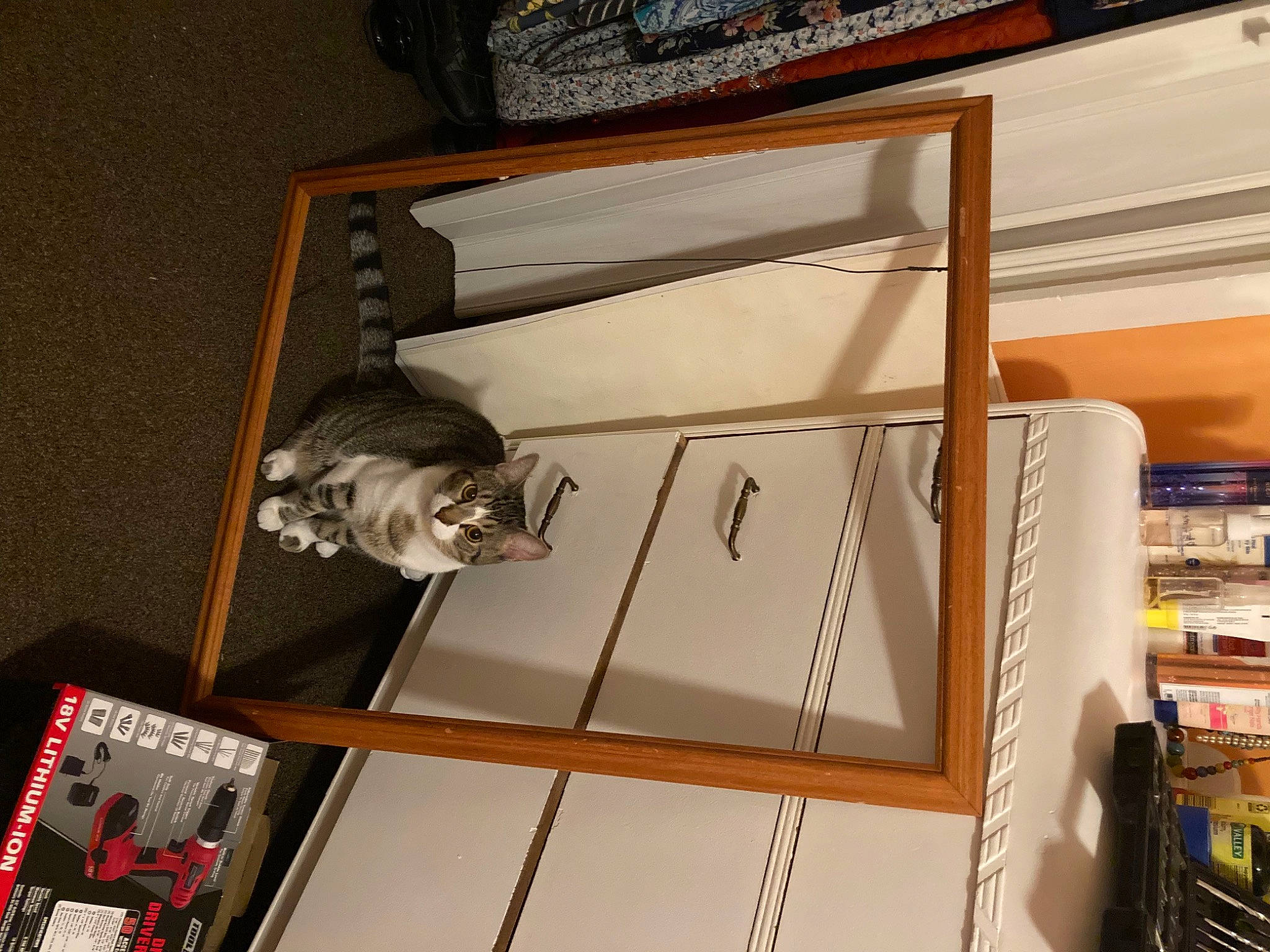 Chai joined the competition — help win amazing prizes! bookcase, building, ceiling, collection, display_case, flooring, hardwood, ladder, machine, metal, picture_frame, publication, room, shelf, shelving, wood